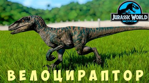 🦖 Jurassic World Evolution ВЕЛОЦИРАПТОР Youtube