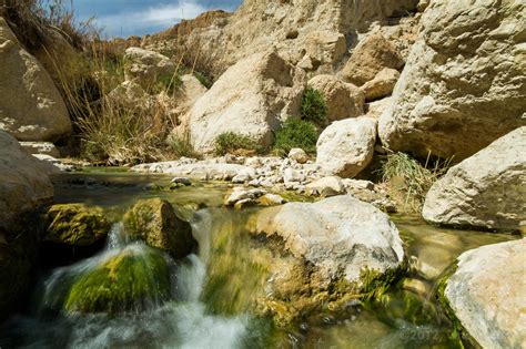 Ein Gedi - E.D.I Travel