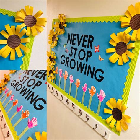 Sunflower Bulletin Board For Preschool Classroom