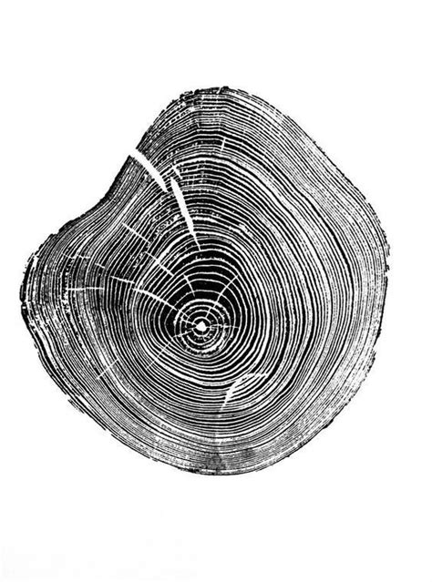 Tree Ring Art Tree Rings Tree Wall Art Tree Art Woodcuts Prints