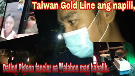 Dating Pigeon Fancier Sa Malabon Nag Babalik Taiwan Gold Line Ang