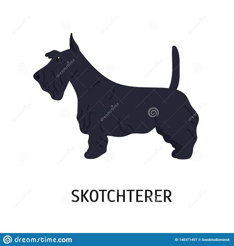 Scottie Dog Cartoon Stock Illustrations – 143 Scottie Dog Cartoon Stock ...