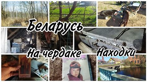Влог: БЕЛАРУСЬ🇧🇾Маленький город/Дом родителей/Чердак/Природа - YouTube