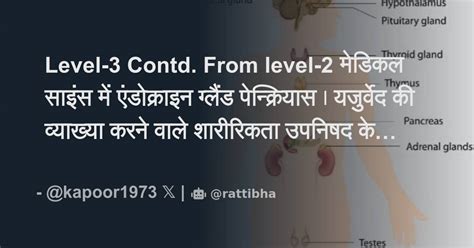 Level 3 Contd From Level 2 मेडिकल साइंस में एंडोक्राइन ग्लैंड पेन्क्रियास। यजुर्वेद की व्याख्या