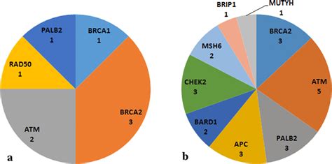 A Gene Distribution Of Pathogenic And Likely Pathogenic Mutations