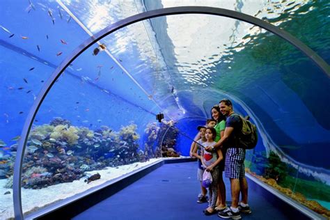 10 Best Aquariums In The World 2025 Price Size More