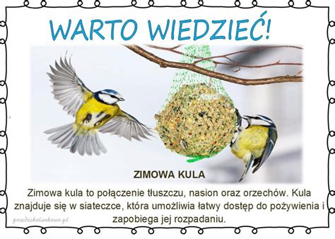 POMAGAMY PTAKOM ZIMĄ plansze zestaw 1 Przedszkolankowo Art for