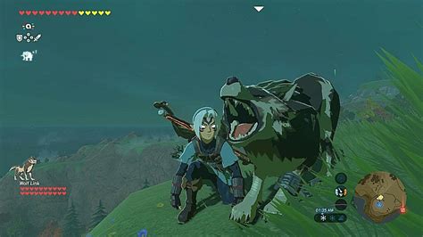 Wolf Link And Link