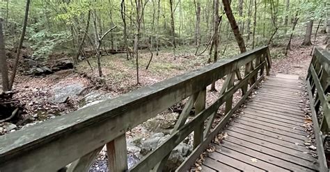 Reedy Creek And Loblolly Trail Cary North Carolina