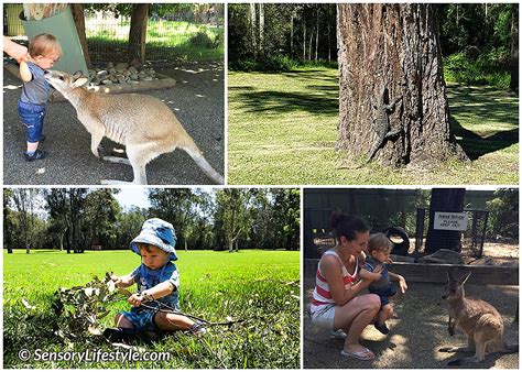 Month 11: Top 10 Sensory Activities for your 11 month old baby ...