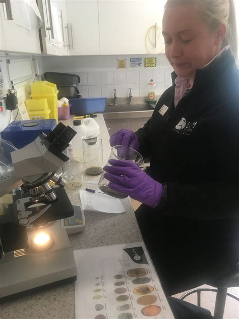 6 steps to successful parasite control | LLM Farm Vets