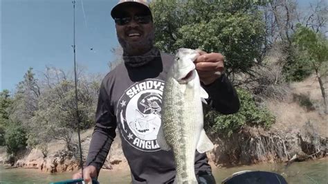 Lake Oroville Bass Fishing 05252024 Youtube