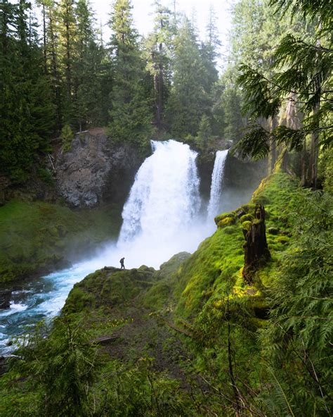 Sahalie Falls Viewing Point of Sahalie Falls | Explorest