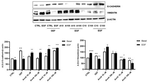 Ijms Special Issue Natural Compounds In Cancer Therapy And Prevention