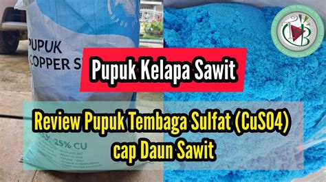 Review Pupuk Tembaga Sulfat Cuso Cap Daun Sawit Youtube