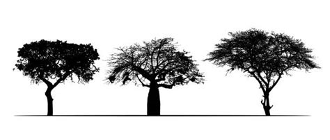 2,600+ African Tree Silhouette Stock Illustrations, Royalty-Free Vector Graphics & Clip Art - iStock