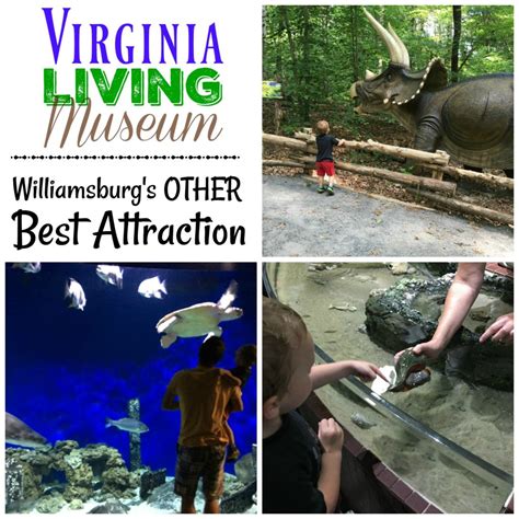 The Virginia Living Museum: Williamsburg's Other Best Attraction - MBA sahm