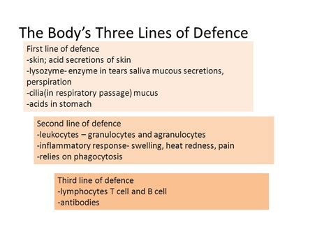 Welcome Immunity The Bodys Three Lines Of Defence First Line Of