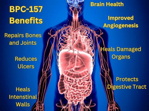 The Healing Power Of BPC 157 A Look Into Peptide Therapy My Journey