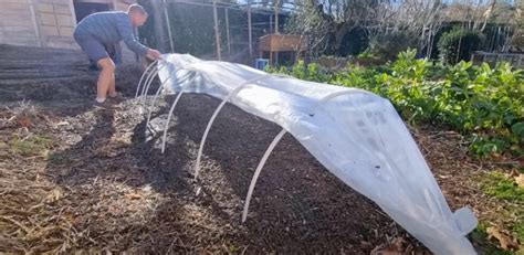 Utiliser Et Cultiver Sous Les Tunnels Nantais P Le Potager