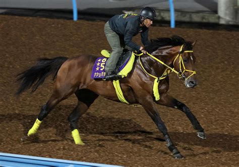 【bcクラシック】ウシュバテソーロは末脚不発で10着「気持ちが乗ってこなかった感じ」高木師 海外 競馬写真ニュース 日刊スポーツ