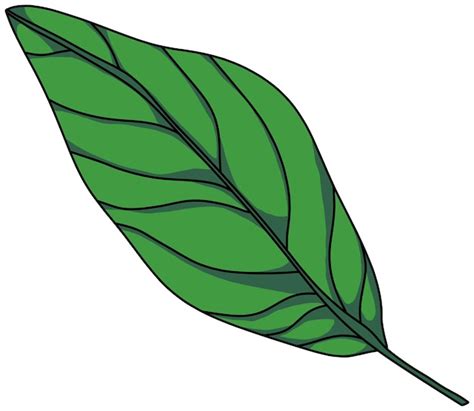 Ilustraci N Del Vector De La Hoja Verde Grande Vector Premium