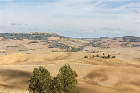 Tuscany - a View To a Scenery Stock Image - Image of fields, grapes: 107652559