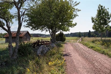 Kuva Kes Inen Maaseututie Maaseutu Puut Tie Soratie Maantie