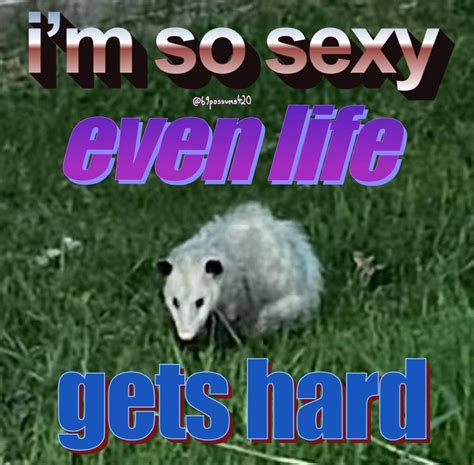 Memes about Possums