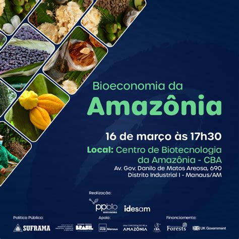 Debate Bioeconomia Da Amaz Nia Uma Concerta O Pela Amazonia