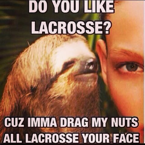 Sexual Sloth Meme Jokes