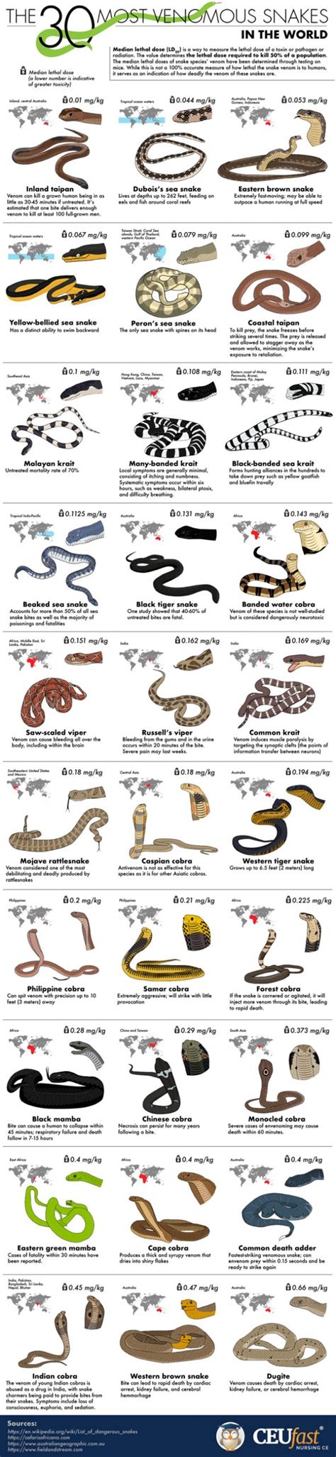 10 Most Venomous Snakes Chart