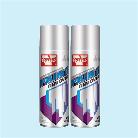 Hot Selling Aerosol Spray Masonry Gloss Paint Stripper China Paint