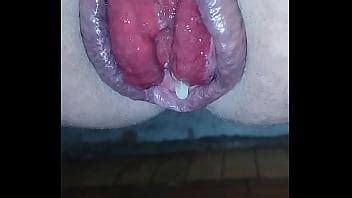 Solo Mira Ese Culo Arrogante Mirando Su Prolapso XVIDEOS