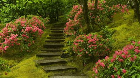 Beautiful Walkway Wallpapers Wallpaper Cave