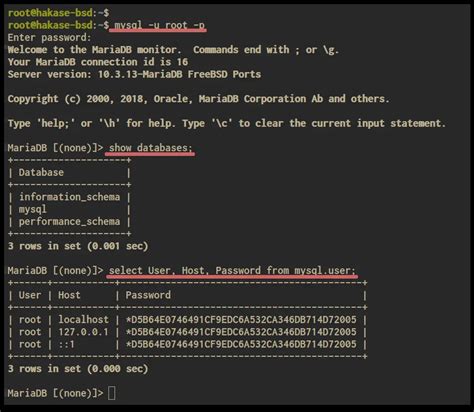 Install Nginx MariaDB And PHP FEMP Stack On FreeBSD 12