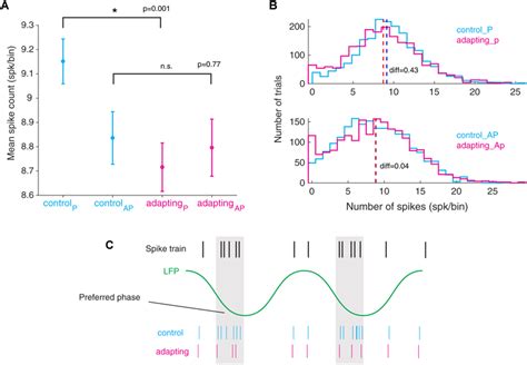 Declining In The Number Of Spikes From The Preferred Phase Of Lfp