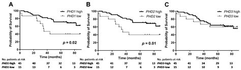 Cancers Free Full Text Gene Expression Levels Of The Prolyl