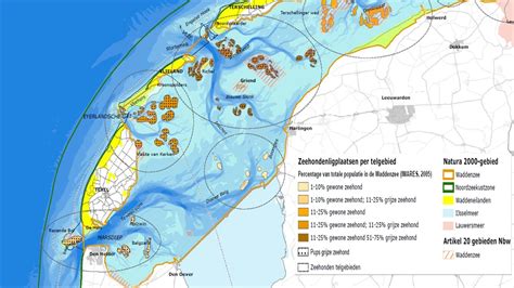 Overzicht Hvp S En Rustgebieden Van Zeehonden In De Waddenzee