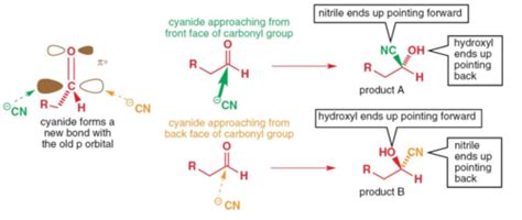 Stereochemistry Flashcards Quizlet