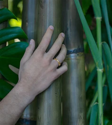 Bague Regard D Orient Maillon Cubain Fin Or Jaune Carats