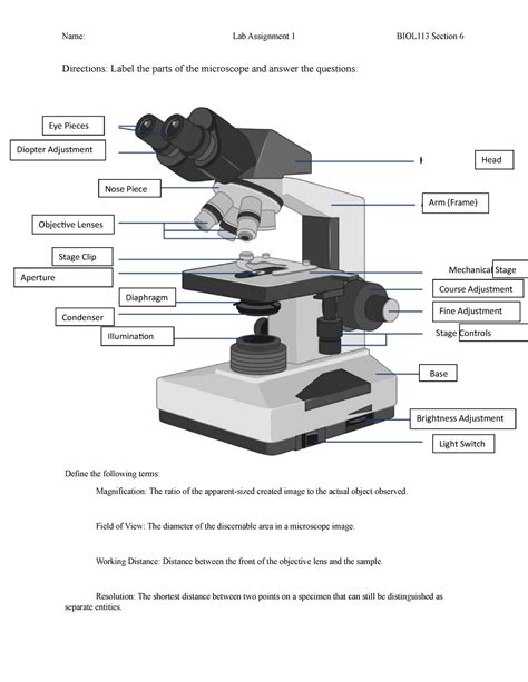 Microscopy Assignment Name Lab Assignment Biol Section