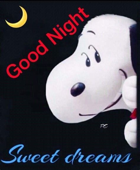 Pin By Melissa Schepartz On Good Morningnight9 Snoopy Images Sweet Dreams Snoopy