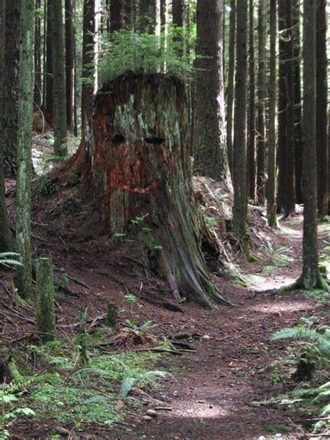 Issaquah Alps - Alchetron, The Free Social Encyclopedia