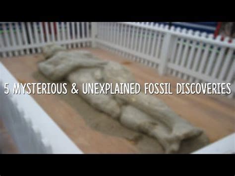 Mysterious Unexplained Fossil Discoveries Youtube