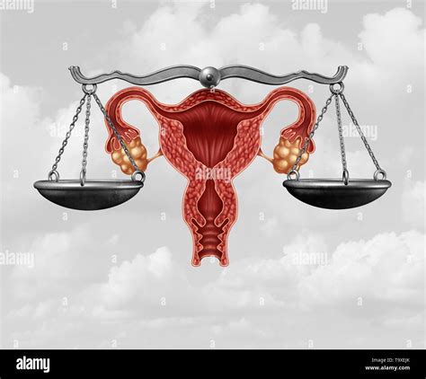 La legislación sobre el aborto y la justicia reproductiva como un