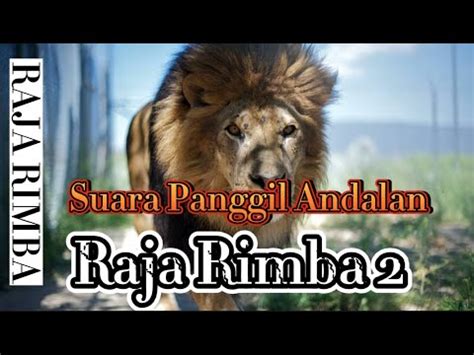 Suara Panggil Andalan Sp Raja Rimba Dua YouTube