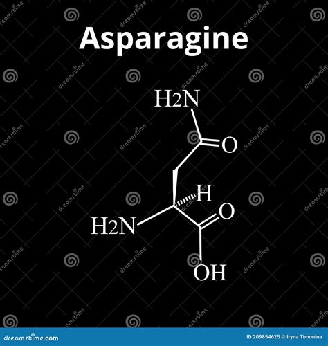 Asparagine Is An Amino Acid Chemical Molecular Formula Asparagine Is