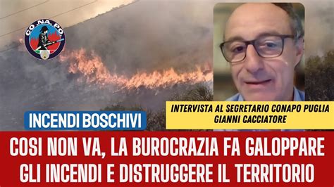 Incendi Boschivi Cosi Non Va La Burocrazia Fa Galoppare Gli Incendi E