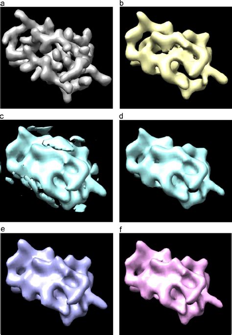 Comparison Of The Monomeric Phantom With Various Three Dimensional